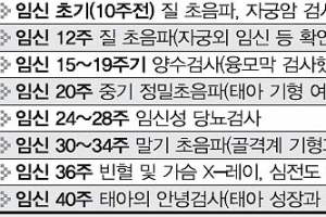고령 임신부 고혈압 젊은층의 2~4배… 비타민C 섭취 늘리고 저염식이 최선