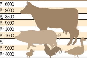 AI 초비상인데… ‘공수의제’ 운영 뒷짐 진 정부