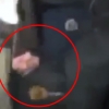 우크라이나 시위 취재기자 최루탄 폭발 부상 순간 충격