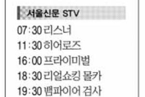 [25일(土) 서울신문 STV·OBS·EBS]