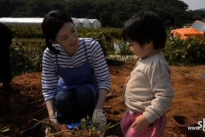 [설연휴 TV 한마당] 대장금이 차린 만찬 맛볼까, 1억년 만에 살아난 공룡 만날까