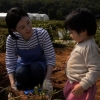 [설연휴 TV 한마당] 대장금이 차린 만찬 맛볼까, 1억년 만에 살아난 공룡 만날까