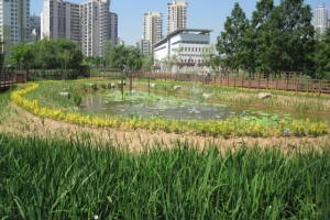 영등포 양평 유수지 생태공간 더 넓어진다