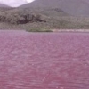 중국 미스터리 호수, 여자가 좋아하는 핑크색? ‘핏빛에 악취’