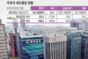 [한국은행과 함께하는 톡톡 경제 콘서트] <16> 섀도뱅킹에는 어떤 위험이 숨어 있나