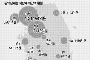부군수 투입에 별동대 운영까지… “체납 지방세 안 내고는 못 배긴다”