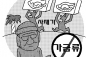제주 닭 사재기·밀반입 왜?