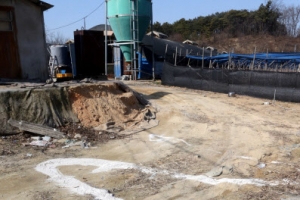 김제서 양계농 AI로 토종닭 출하 못 해 자살