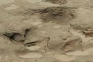 英 90만년 전 인류 발자국 무더기로 발견, “유럽 정착사 새로 쓴다”