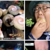 정글의 법칙 병만족 4종 만찬...장어, 고둥 먹는 출연진들 표정이