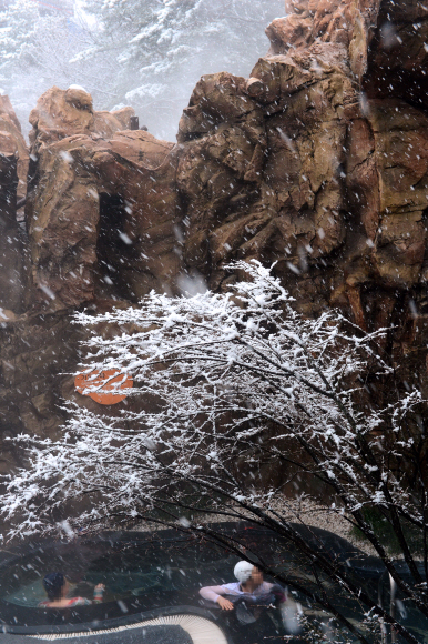 관광객들이 한화리조트 설악 쏘라노의 노천온천에서 눈을 맞으며 온천욕을 즐기고 있다.
