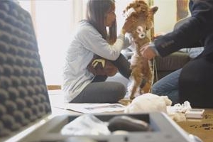 개들의 터질 듯한 외로움…주인 홀로 집 나서면 심박수 두 배로