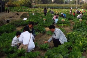 강서구민 3명중 2명 “도시농업 체험 원해”
