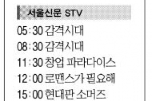 [16일(日) 서울신문 STV·OBS·EBS]