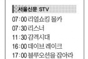 [15일(土) 서울신문 STV·OBS·EBS]