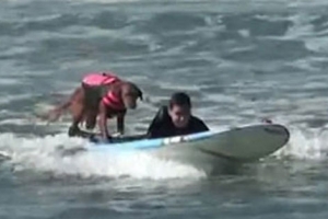 “고마워!” 견공 도움 받아 서핑 꿈 이룬 뇌암 소년