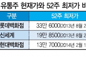 [증시 전망대] 해외 ‘직구’에 흔들리는 유통 공룡들