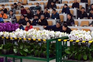 [이종원 선임기자 카메라 산책] 양재 화훼공판장 ‘꽃 경매장’을 가다