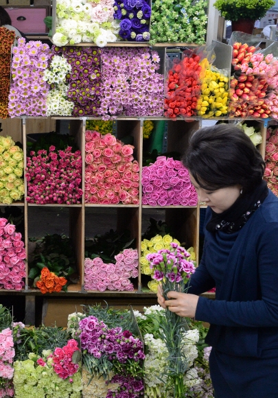 경매에서 낙찰받은 꽃들은 각 꽃집으로 흩어져 화려한 자태로 시민들의 반가운 손길을 기다린다.