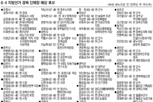 [6·4 지방선거 누가 뛰나] 경북 기초자치단체장