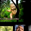 멕시코 인형의섬, 인형들이 점점 늘어나는 이유는? ‘듣고보니 오싹’