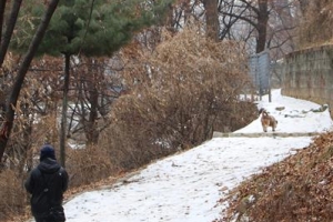 동작충효길 25㎞ 도심 산책로 각광