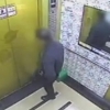 창원 엘리베이터 동영상, 승객 나가자마자 ‘39층까지 무서운 속도로..’