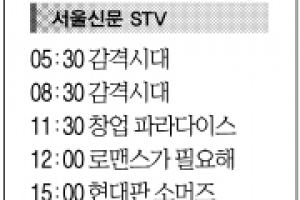 [2일(日) 서울신문 STV·OBS·EBS]