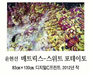 [그림과 詩가 있는 아침] 웅덩이/이경호