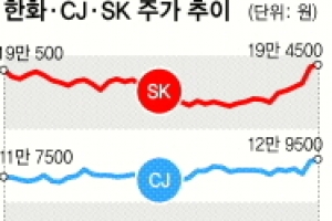 [증시 전망대] 오너 악재에도… 한화·CJ·SK 주가 ‘꿋꿋’