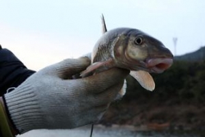 하동포구 80리길… 봄을 낚는 사람들