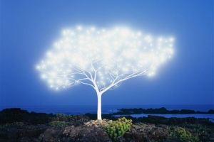 시간과 빛이 빚어낸 마법