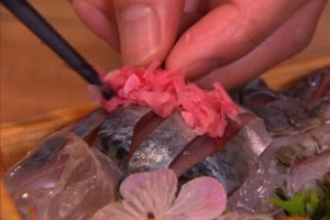 건강하고 안전한 광어 키우는 친환경 양식