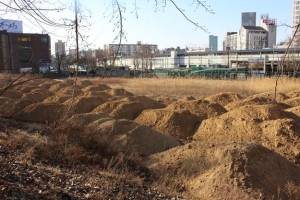 대방동 옛 미군기지 주말농장 변신