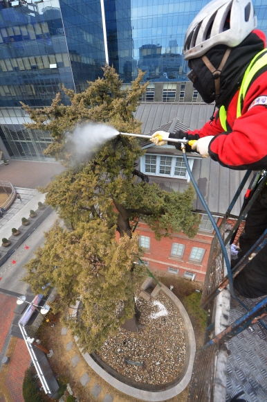 나무도 봄맞이 목욕