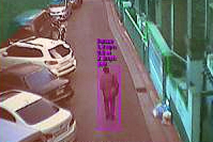 이곳저곳 배회·담넘기·패싸움·무단투기… 이상행동, 똑똑한 CCTV에 다 걸립니다