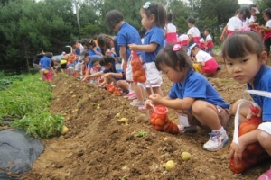 바야흐로 텃밭의 계절