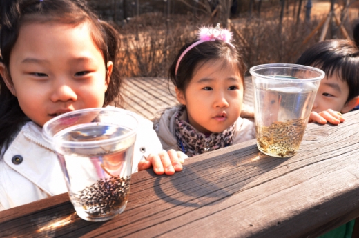 “개구리알 신기해요”
