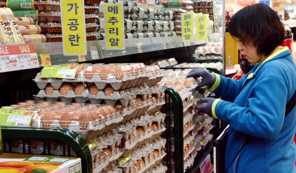 조류인플루엔자(AI)의 영향으로 계란 값이 급등한 가운데 16일 서울 중구 봉래동 롯데마트 서울역점 매장에서 한 직원이 계란을 정리하고 있다. 유통업계 등에 따르면 지난달 19일 138원이던 계란 도매가가 지난 13일 158원으로 올랐다. 