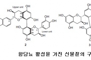 대구한의대 김태훈 교수, 생물 전환에 의한 항당뇨 천연 선도 물질 개발