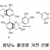 대구한의대 김태훈 교수, 생물 전환에 의한 항당뇨 천연 선도 물질 개발