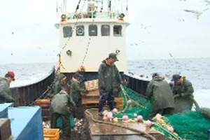 1800m 그물 던지고 걷고… 가자미잡이 선원들의 24시