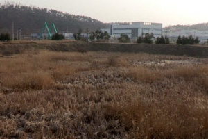 충북 ‘제2의 두꺼비 서식지’ 보존 가능할까