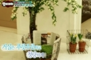 이영자 집 공개, 화이트 북유럽풍에 꽃 천지 “집 보면 천상여자”