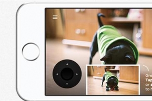 위치확인서 밥까지 척척… 반려동물 IT로 돌본다