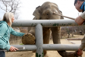 ‘칭찬은 코끼리도 춤추게 한다’