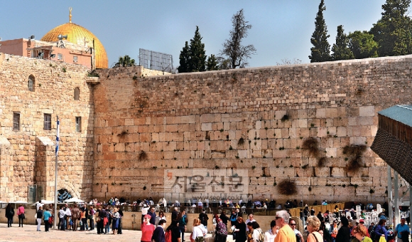 유대인의 고통을 상징하는 ‘통곡의 벽’ 전경. 왼쪽 벽이 남자, 오른쪽은 여자가 기도하는 곳이다. 뒤쪽 바위 돔 사원의 지붕엔 500㎏의 순금이 씌워져 있다고 전해진다.