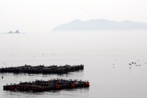북, 서해 NLL 인근서 해상사격훈련 시작…발사 계속