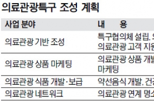 명동·을지로 일대 의료관광특구 개발