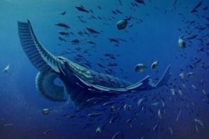 0.8m 괴물새우 화석 “도대체 뭘 먹고 컸나?”